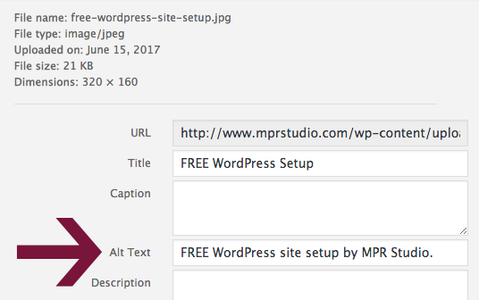 Alt Text in WordPress dashboard for media items.