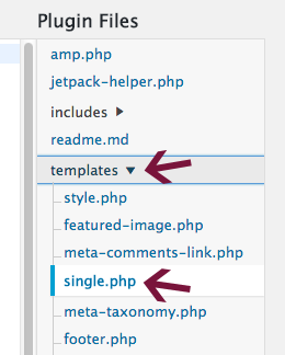 single.php template in AMP plugin files.